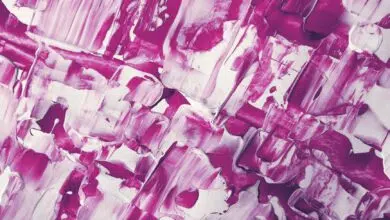 photo of white and purple painting